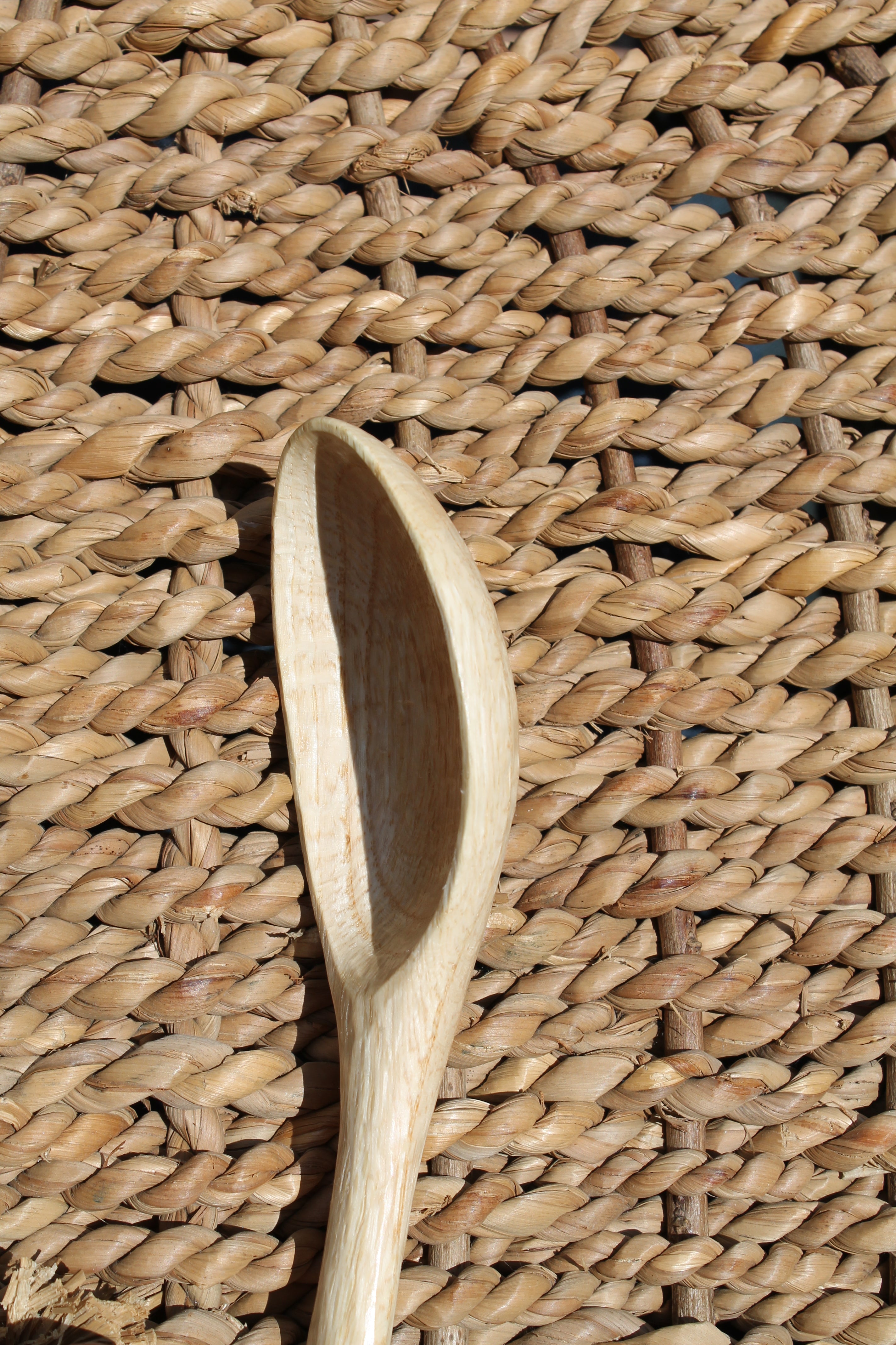 Birch Scoop