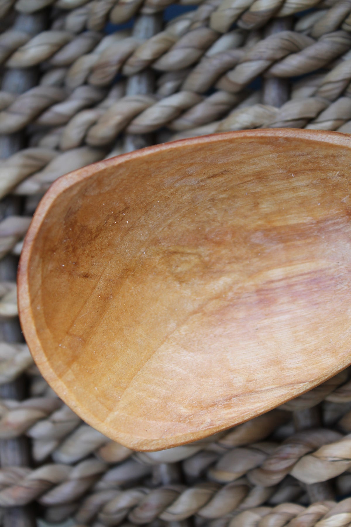 Birch Scoop