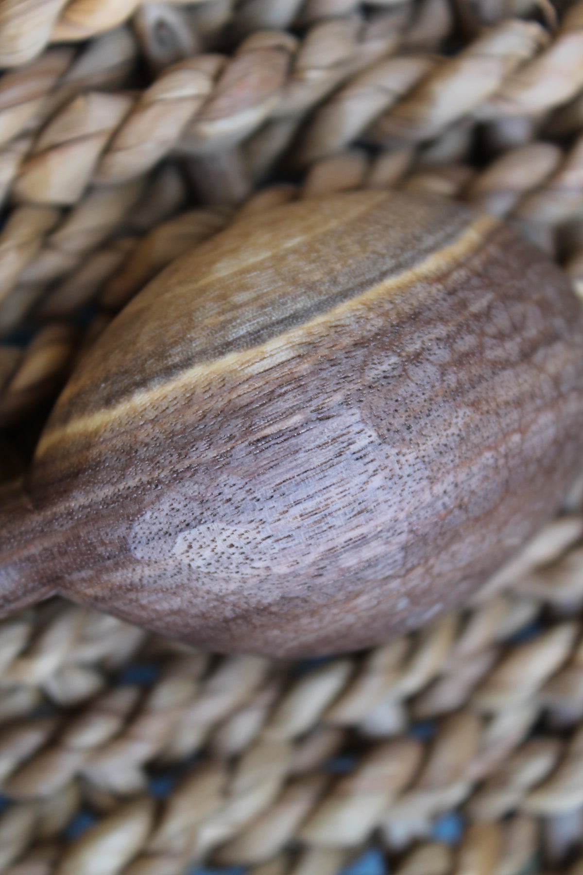 Black Walnut Scoop