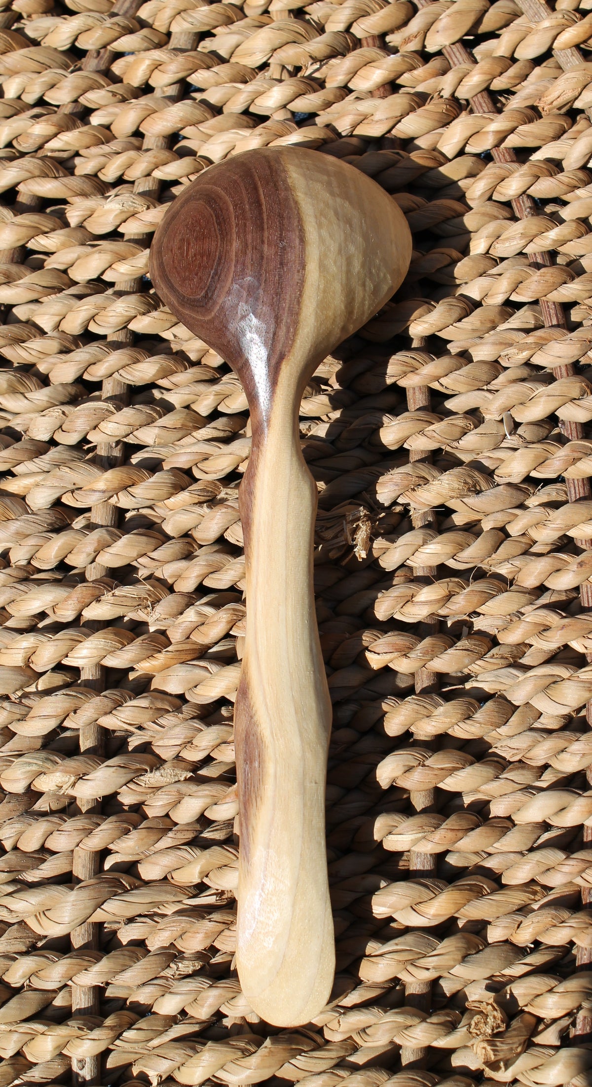 Black Walnut Scoop